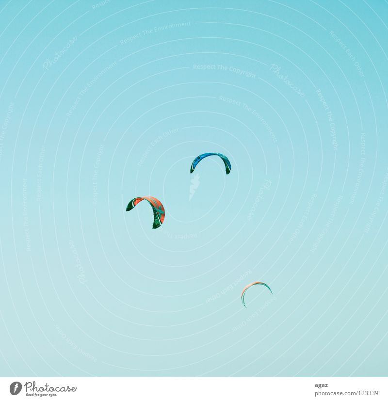 Fliegen II Strand Sommer nass Kiting Physik heiß Wolken Spielen blau Freude fliegen Wärme Himmel Schönes Wetter sportlich festhalten Außenaufnahme
