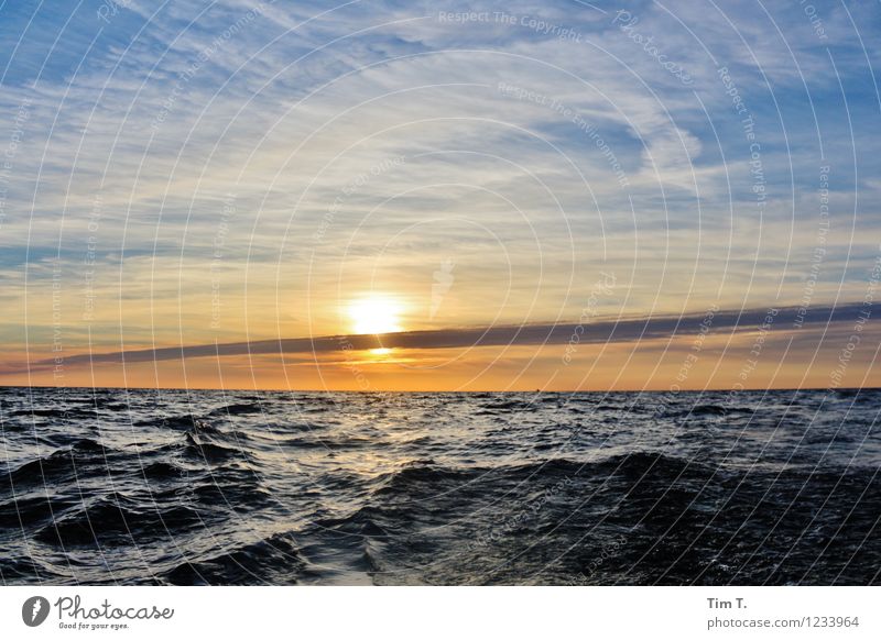 Das Meer Umwelt Natur Urelemente Wasser Himmel Wolken Horizont Sonne Sonnenaufgang Sonnenuntergang Sommer Wind Abenteuer Ferne Segeln Ostsee Farbfoto