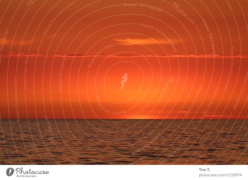 der Himmel über der Ostsee Umwelt Natur Landschaft Wasser Sonne Sonnenaufgang Sonnenuntergang Sonnenlicht Sommer Meer Stimmung Segeln Sailing Baltic Europa