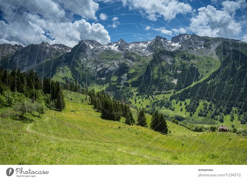 Alpental Erholung ruhig Ferien & Urlaub & Reisen Tourismus Ausflug Sommer Berge u. Gebirge wandern Natur Landschaft Pflanze Luft Himmel Wolken Wetter