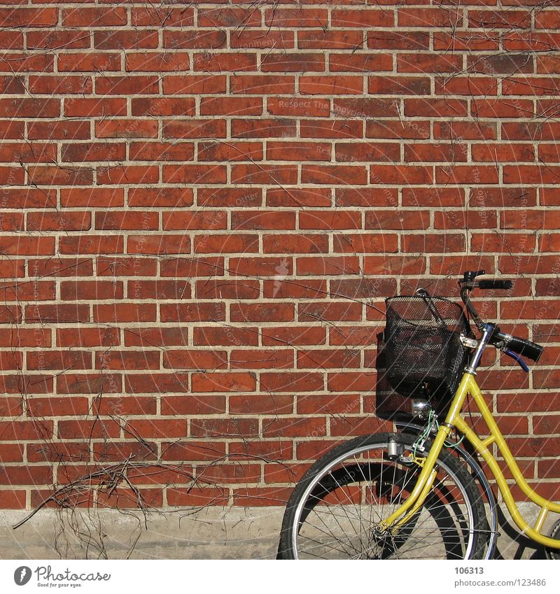 MR. POSTMAN? Fahrrad Post Mauer Wand Metall Backstein gelb rot Damenfahrrad Korb old-school leer Dinge anlehnen fahrradkorb Fahrradlenker Backsteinwand