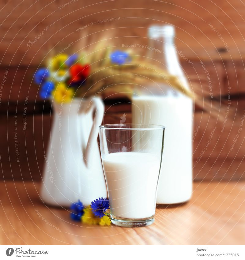 Landmilch Milch Lifestyle Sommer Blume frisch braun mehrfarbig weiß Idylle Natur Milchglas Milchkanne Landblumen Farbfoto Innenaufnahme Menschenleer Tag