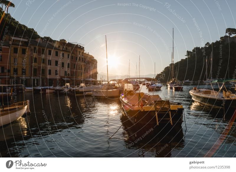 Portofino Ferien & Urlaub & Reisen Landschaft Wasser Wolkenloser Himmel Sonnenaufgang Sonnenuntergang Sonnenlicht Sommer Hügel Küste Bucht Meer Idylle