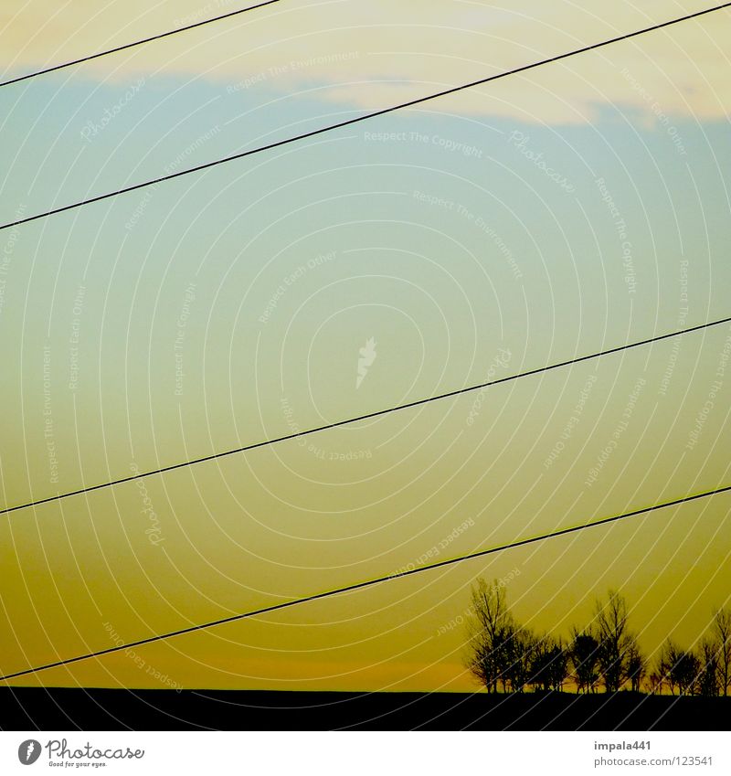 gradlinig Sonnenuntergang gelb Baum Wäldchen schwarz Wolken Elektrizität Verlauf 4 modern Langeweile Berge u. Gebirge blau Linie Himmel Erde Landschaft Kabel