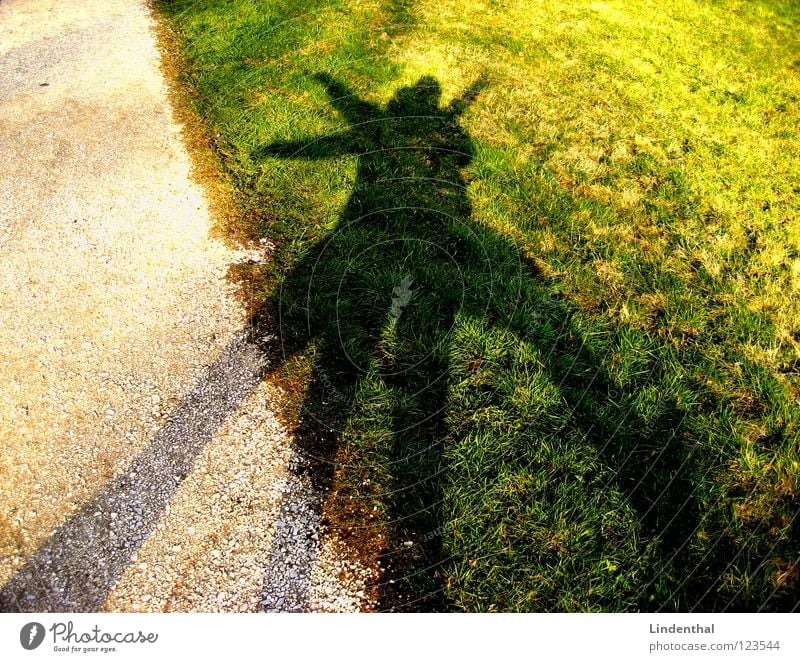 Shadow of Fun Wiese Spielen Schattenspiel Unsinn Freude shadow fun lustig lusitg yeah Tanzen dance Kies