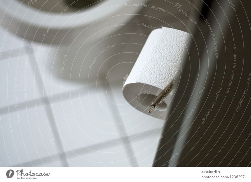 Klo Toilette Miettoilette sanitär Toilettenpapier Tür Eingang Häusliches Leben Wohnung Fliesen u. Kacheln Tiefenschärfe Schwache Tiefenschärfe