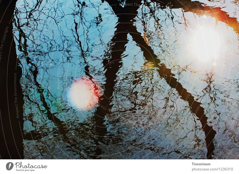 Mal wieder am Fluss stehen. Umwelt Natur Wasser Sonne Sonnenlicht Baum Neckar Linie Blick warten sportlich natürlich blau schwarz weiß Gefühle Glück ästhetisch