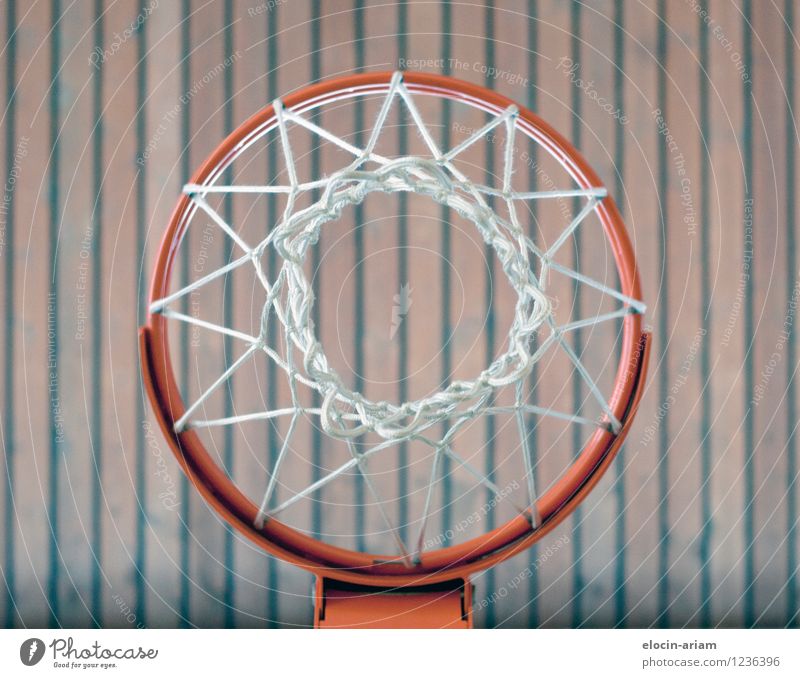 Durch die Mitte Holz werfen dünn Basketballkorb Sport Sporthalle Farbfoto Innenaufnahme Kunstlicht Froschperspektive Blick nach unten