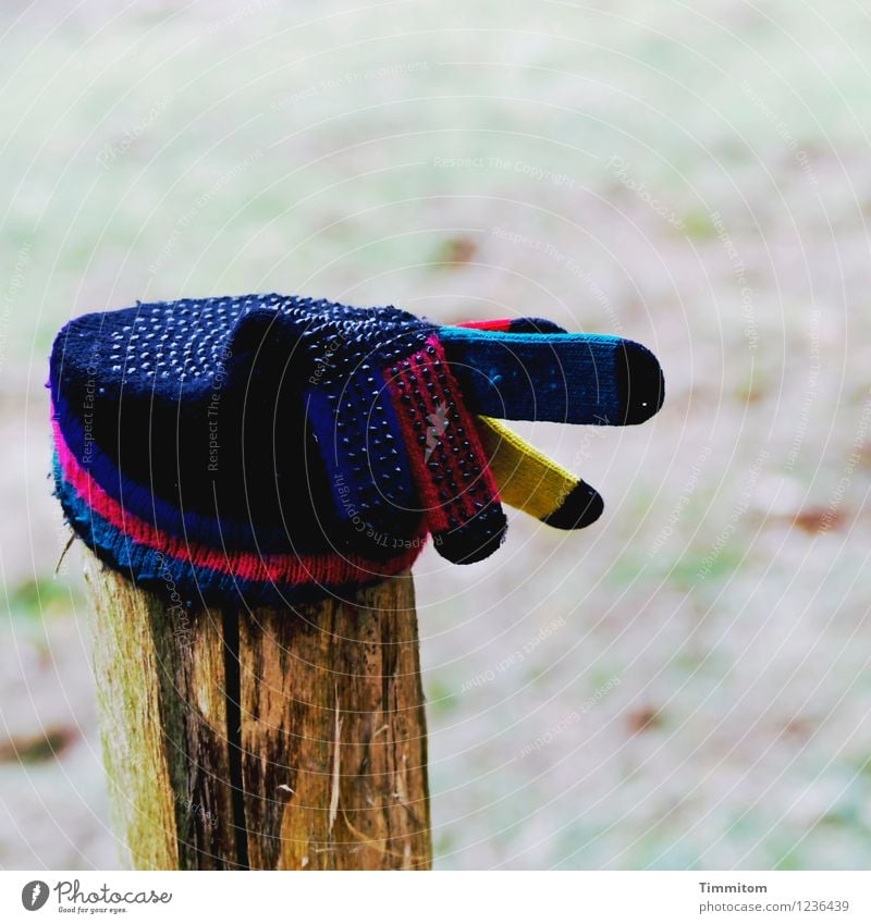 Ein Fingerzeig. Umwelt Natur Winter Wiese Handschuhe Pfosten Holz Zeichen blau gelb rot schwarz Gefühle zeigen richtungweisend Farbfoto Außenaufnahme