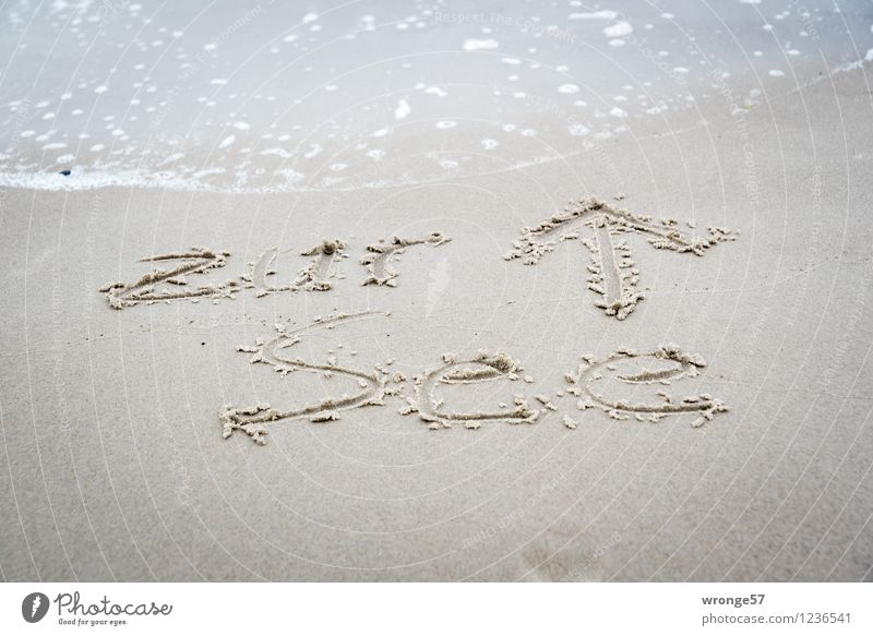 Nachhilfe Wasser Sommer Wellen Strand Ostsee Schwimmen & Baden kalt maritim grau Sandstrand Meer Schriftzeichen Hinweis Pfeil Erfrischung Kühlung Farbfoto