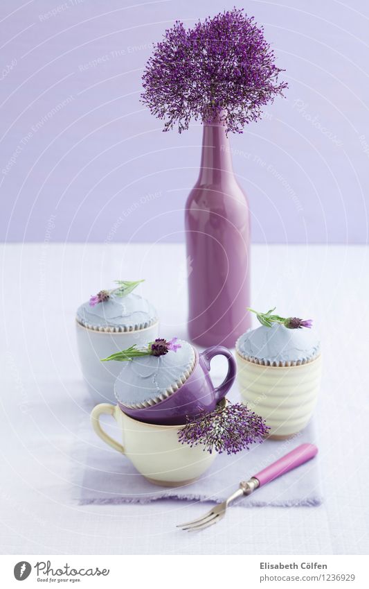 Lavendel Cupcakes Dessert Süßwaren Kaffeetrinken Tasse Becher Gabel gelb violett rosa grün Muffin Blüte Lavendelblüte Vase Blume Backwaren Buttercreme Frosting