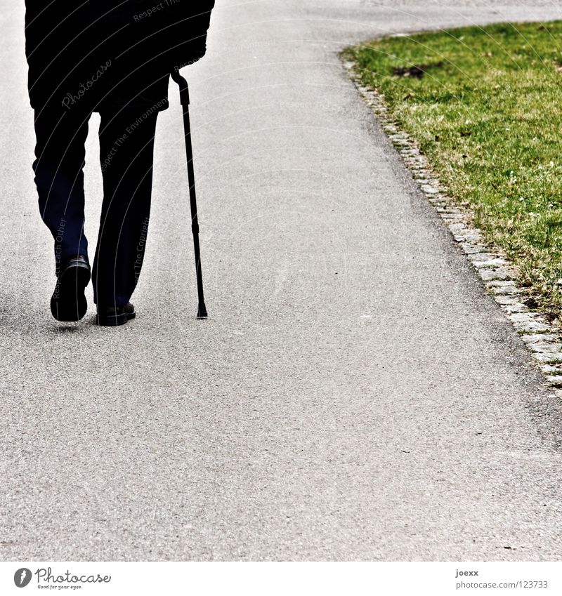 Durchhalten Männlicher Senior Mann Rücken 1 Mensch 60 und älter Herbst Fußgänger Wege & Pfade gehen grau grün schwarz Schmerz Einsamkeit Gehhilfe Stock