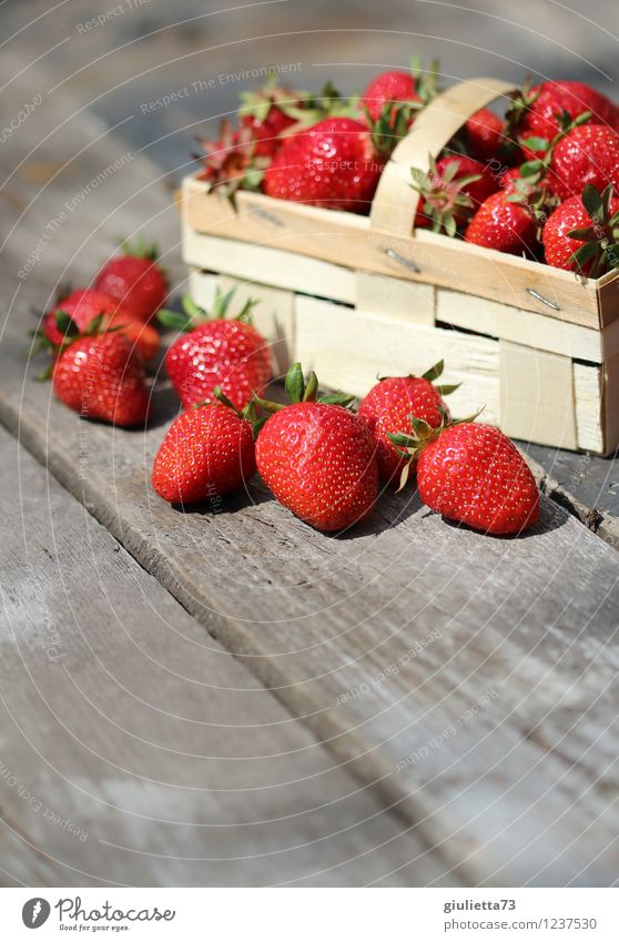 Sommerzeit ist Erdbeerzeit! Lebensmittel Ernährung Bioprodukte Vegetarische Ernährung Garten Natur Schönes Wetter genießen frisch Gesundheit lecker saftig rot
