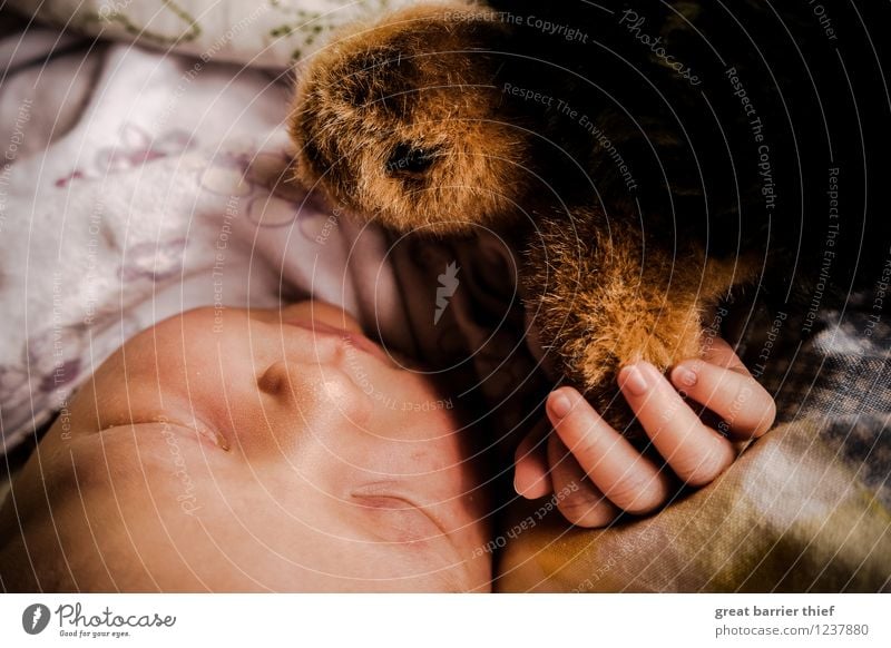 Schlafendes Baby mit Kuscheltier Mensch feminin Kindheit Kopf Hand 1 0-12 Monate schlafen braun mehrfarbig gelb rot Schildkröte Stofftiere Müdigkeit Farbfoto