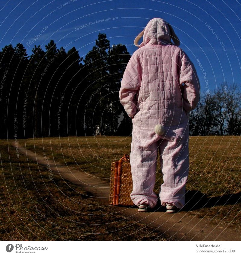HasenMission | 2008 - zwischenstopp Hase & Kaninchen Ostern rosa weiß Quaste kuschlig himmelblau genießen schön Physik Denken Dinge Hasenohren Freude lustig