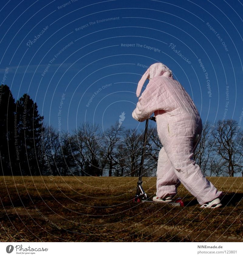 HasenMission | 2008 - düsen Hase & Kaninchen Ostern rosa weiß Quaste kuschlig himmelblau genießen schön Physik Dinge Hasenohren Freude lustig offen unterwegs