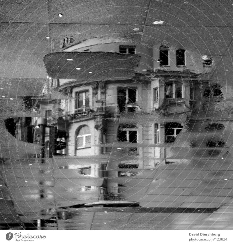 Ghostcastle **60** Haus Fenster Fensterrahmen Ampel Pfütze schwarz Balkon Reflexion & Spiegelung Frankfurt am Main Mittag Gebäude unvollendet Altbau Quadrat