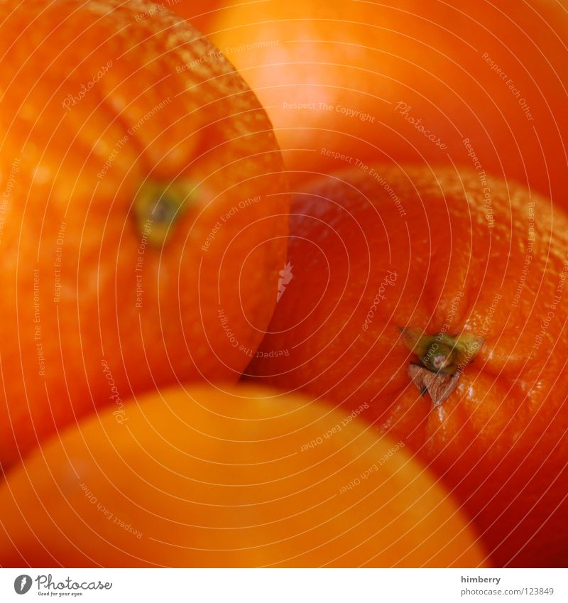 orangecase (director’s cut) Orange Orangensaft frisch Saft Vitamin Ernährung Mahlzeit Gesundheit mehrfarbig Frucht Makroaufnahme Nahaufnahme