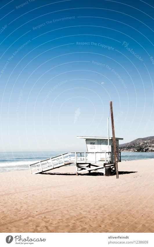 Kalifornien VIII Ferien & Urlaub & Reisen Ausflug Abenteuer Ferne Freiheit Sommer Sommerurlaub Strand Meer Wellen Umwelt Natur Landschaft Sand Himmel