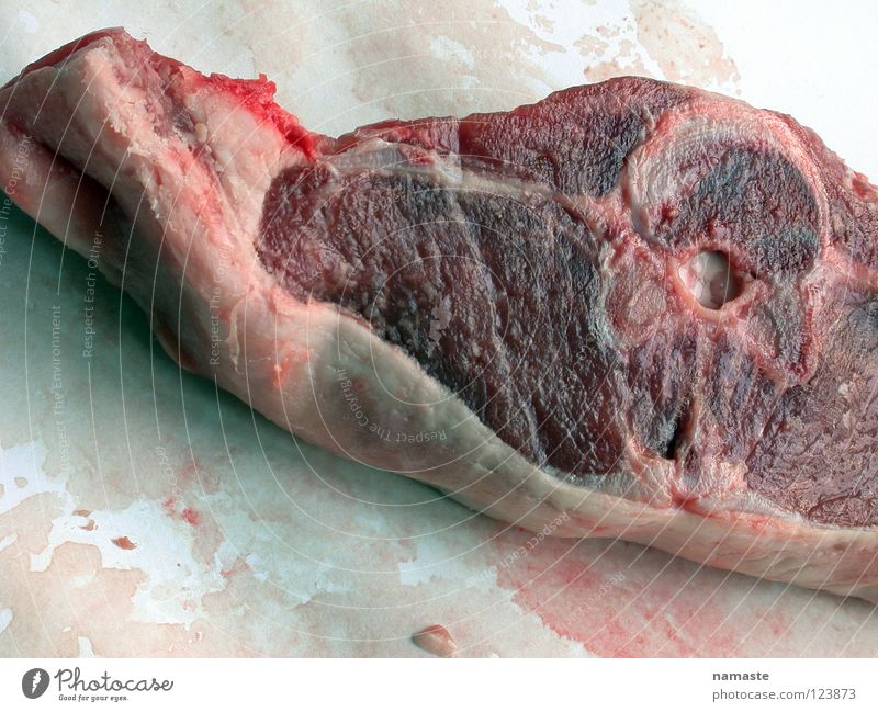 nightmare Fleisch Alptraum Steak Fleischfresser Schaf Ernährung Säugetier kottelet hammelfleisch Blut