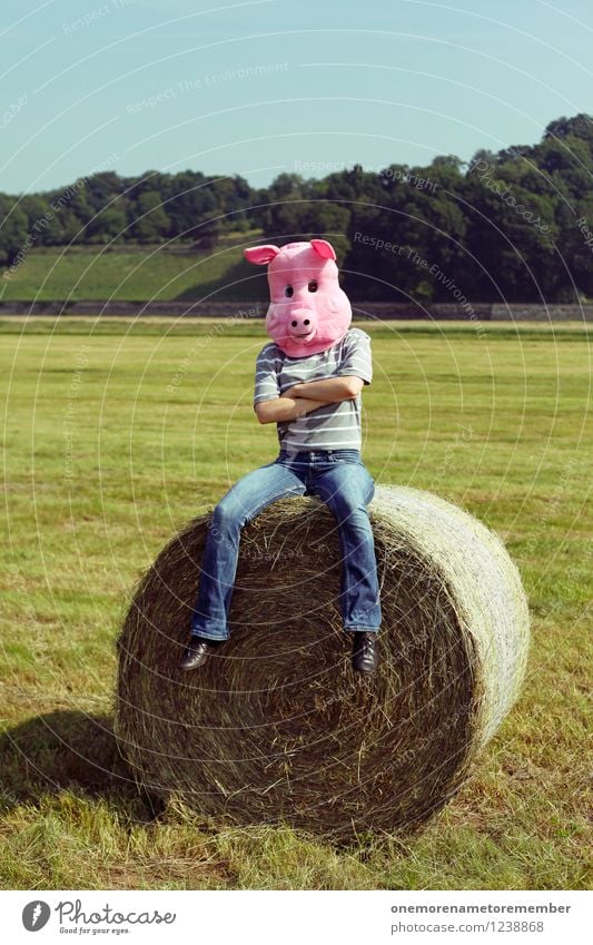 Pigface Kunst Kunstwerk ästhetisch Schwein Schweinefleisch Schweineohr Schweinerei Schweinekopf Schweinebraten Strohballen Außenaufnahme Freude spaßig Spaßvogel