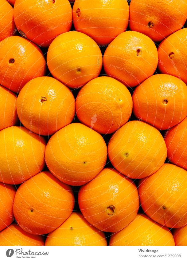 Orangen, Früchte Lebensmittel Milcherzeugnisse Frucht Ernährung Essen Landwirtschaft Forstwirtschaft Pflanze Diät Gesundheit Güte Farbfoto Nahaufnahme