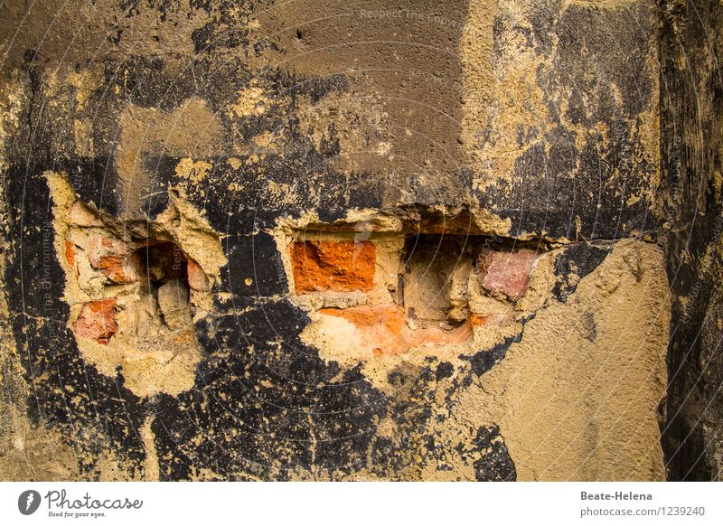 Blick unter die Oberfläche Häusliches Leben Haus Hausbau Handwerk Baustelle Mauer Wand Arbeit & Erwerbstätigkeit wählen beobachten entdecken lernen ästhetisch