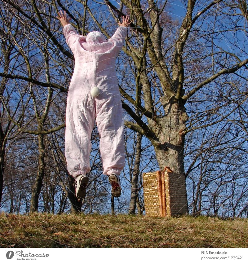 HasenMission | 2008 - ausflipp Hase & Kaninchen Ostern rosa weiß Quaste kuschlig himmelblau genießen schön Physik Dinge Freude lustig offen unterwegs Medien