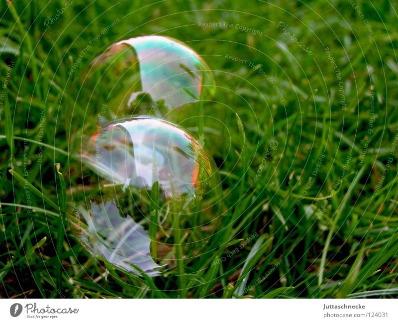 Mit einem Pieks ist alles weg Seifenblase glänzend Regenbogen Spielen grün schillernd blasen träumen Zauberei u. Magie plopp Lauge Vergänglichkeit Frieden Wind