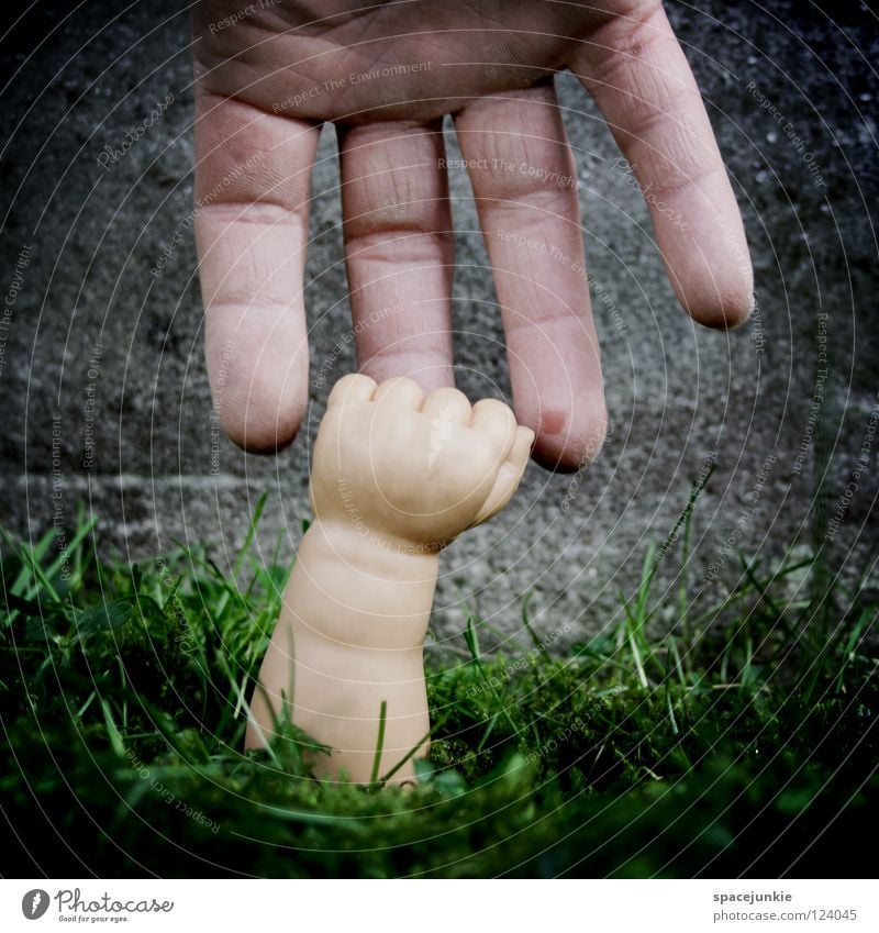 Zitze grün Wachstum Reifezeit Hand Finger Faust Spielzeug skurril Humor Freude Rasen Ernte Arme Puppenarm Statue