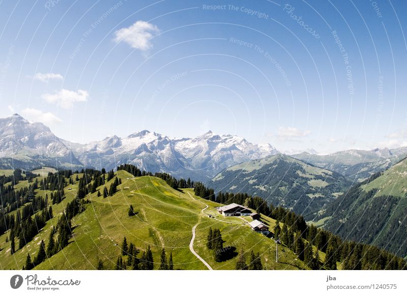 Wispile bei Gstaad Lifestyle Wohlgefühl Erholung ruhig Freizeit & Hobby Ausflug Sommer Berge u. Gebirge Sport Gleitschirmfliegen Sportstätten Natur Landschaft