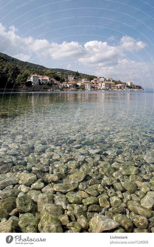 der sonne entgegen Kroatien Ferien & Urlaub & Reisen Meer ruhig tauchen lesen träumen Wellen grün Sturzbach bernsteinfarben Grünfläche Wasserschwall
