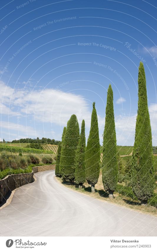 Eine typische Landschaft der Toskana Alkohol Sommer Wolken Wärme Baum Hügel Straße Stein blau grün rot Gelassenheit Zypresse Regie Bauernhof Fechten Italien