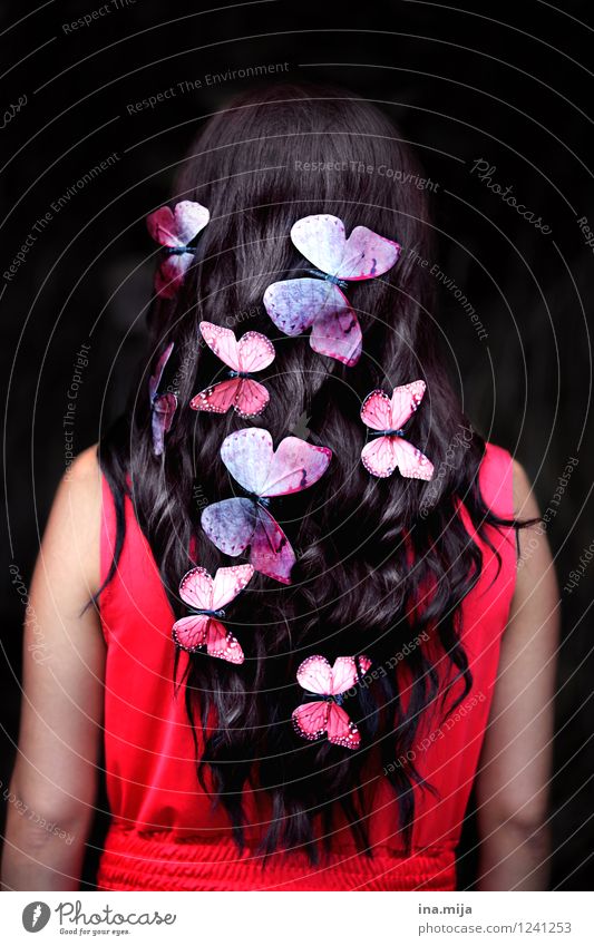 Schmetterlinge schön Haare & Frisuren Mensch feminin Jugendliche Erwachsene 1 18-30 Jahre 30-45 Jahre Frühling Sommer Accessoire schwarzhaarig brünett