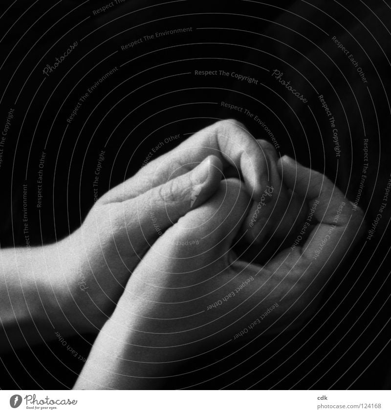 Verbindung aufnehmen | Hände | Gesten Hand Finger Gelenk berühren Zusammensein Meditation Gebet gefaltet Verbundenheit Gefühle begreifen Streicheln zart