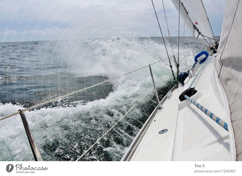Wind Wasser Horizont Sommer Ostsee Meer Abenteuer Segeln Segelboot Segelschiff Farbfoto Außenaufnahme Menschenleer Tag