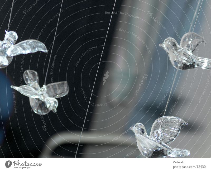 vogelmobilee Vogel Luft hängend Häusliches Leben Mobilee Glas Nähgarn Luftverkehr fliegen