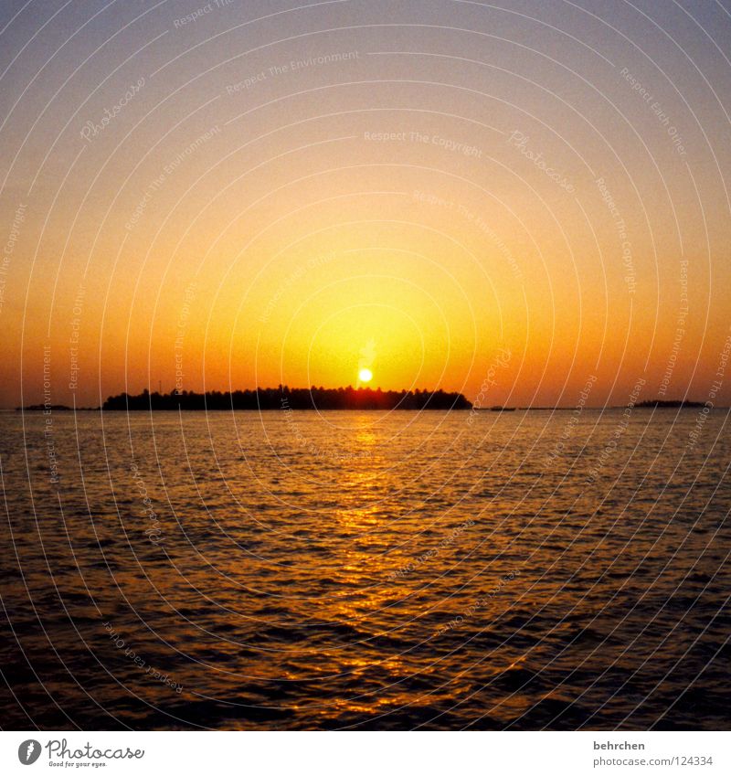 traumsonneninsel Licht ruhig Ferien & Urlaub & Reisen Sonne Meer Insel Wellen Wasser Himmel genießen träumen Romantik Fernweh Malediven Sonnenuntergang