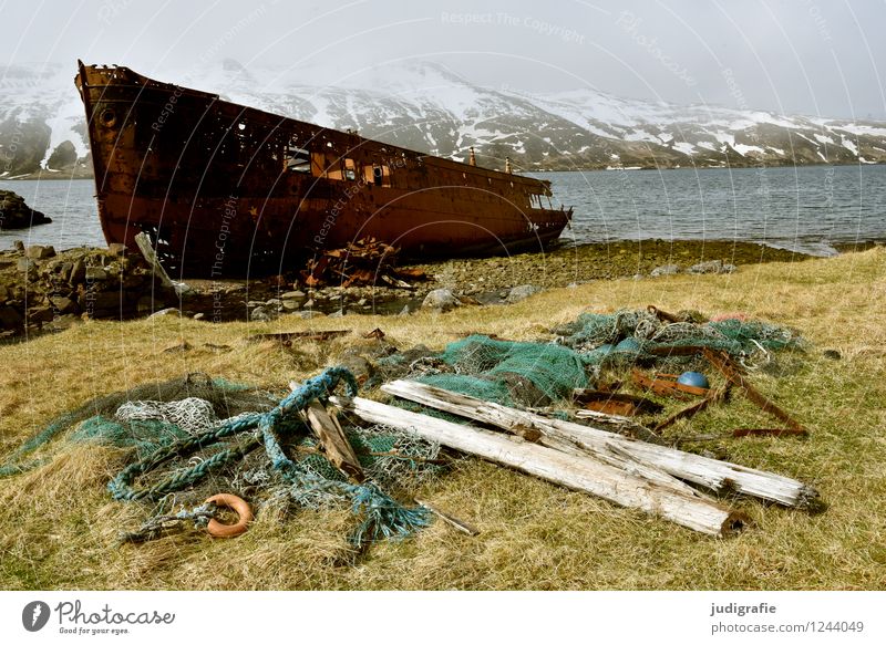 Island Umwelt Natur Landschaft Klima Küste Fjord Meer Djupavik Dorf Schifffahrt Schiffswrack alt außergewöhnlich kalt maritim wild Stimmung Einsamkeit