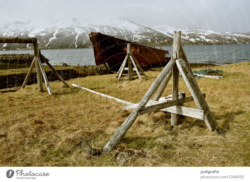 Island Umwelt Natur Landschaft Klima Berge u. Gebirge Schneebedeckte Gipfel Küste Fjord Djupavik Fischerdorf Hafen Schifffahrt Wasserfahrzeug Schiffswrack