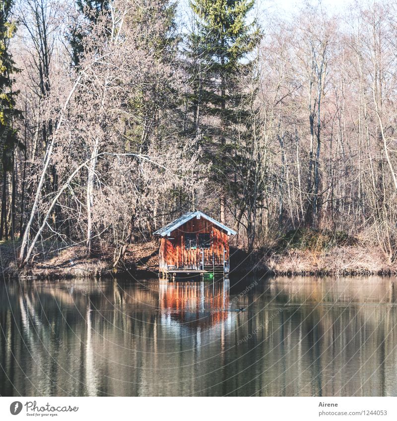 wenn einem mal wieder alles zu viel wird... Wald Seeufer Teich Hütte Scheune Bootshaus alt positiv braun orange rot trösten Erholung ruhig Einsamkeit Farbfoto