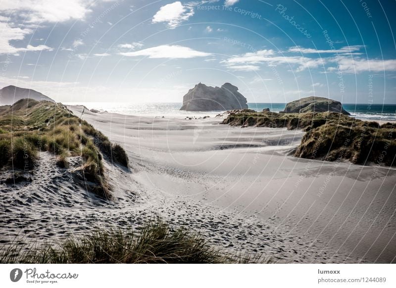 wharariki beach Natur Landschaft Sand Wasser Felsen Küste Strand Meer Insel Neuseeland Südinsel Ferien & Urlaub & Reisen Düne Dünengras Farbfoto Tag