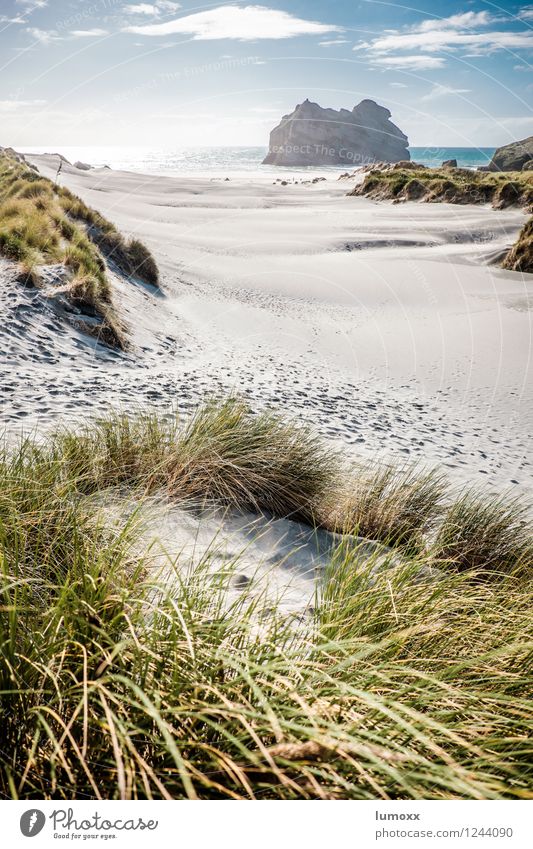 endless summer Sand Wolken Sommer Schönes Wetter Gras Küste Strand Meer Pazifik Insel Neuseeland Südinsel leuchten Kitsch blau braun grün Lebensfreude träumen