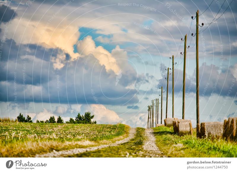 wenn die Wolken kommen Umwelt Landschaft Himmel Gewitterwolken Sommer Wiese Dorf Menschenleer blau gelb grün Horizont Fußweg Strommast Strohballen Farbfoto