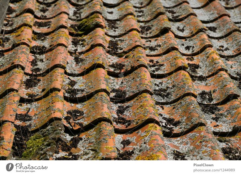 Dachziegel mit Gebrauchsspuren Häusliches Leben Haus Renovieren Dachboden Handwerker Bauwerk Gebäude Architektur Stein liegen alt Stadt braun orange Farbfoto