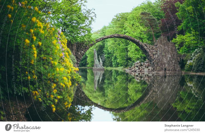 Steinbrücke Brücke Bauwerk Architektur bauen See Park grün Freizeit entspannen Ruhe Seele Natur Landschaft Farbfoto Außenaufnahme Menschenleer