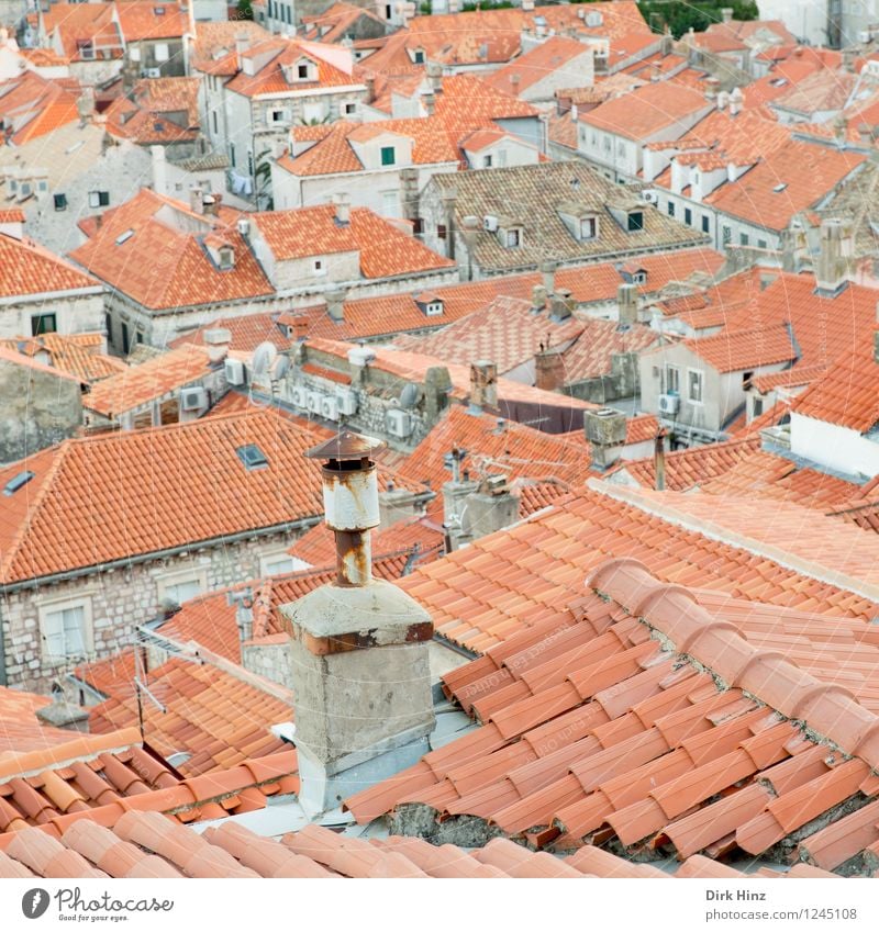 Über den Dächern der alten Stadt (Dubrovnik) Stadtzentrum Altstadt Gebäude Dach Schornstein Sehenswürdigkeit Wahrzeichen Denkmal authentisch Bekanntheit braun