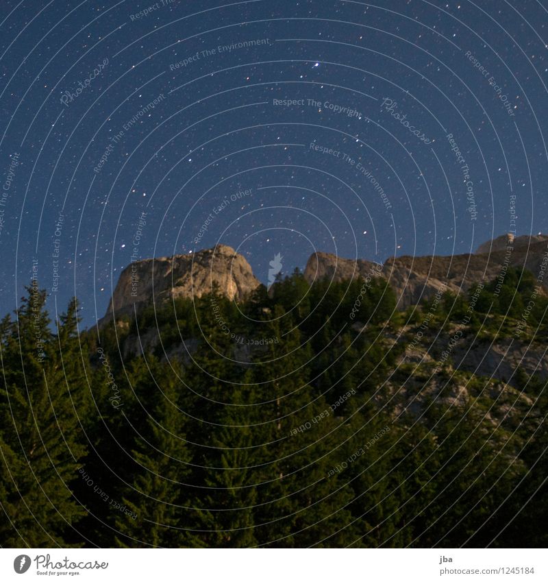 Nachthimmel über Gsteig ruhig Umwelt Natur Urelemente Himmel Stern Sommer Schönes Wetter Baum Tanne Wald Felsen Alpen Gipfel Saanenland Zeit Felswand Berghang