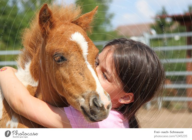 Herzlich Wilkommen.... in meinen Herzen! Haustier Pferd Tiergesicht 1 Tierjunges innige Verbindung genießen Liebe leuchten träumen authentisch Zusammensein