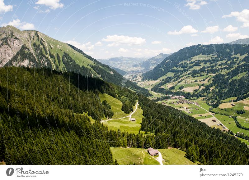 Feutersoey Lifestyle Wohlgefühl Zufriedenheit Erholung ruhig Freizeit & Hobby Ausflug Ferne Freiheit Sommer Berge u. Gebirge Sport Gleitschirmfliegen